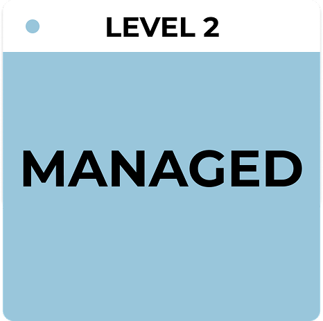 IT Asset Management/ ITAM Maturity Level 2 – Managed, illustrating structured but inconsistent IT asset tracking, partial license management, and the transition to automation with Device42.